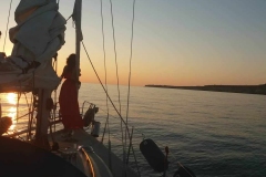 117723575_252866729513133_1469880518461559195_n