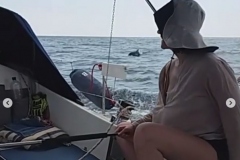 анна-рулит
