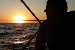 117672248_131978851922897_241699045588599948_n