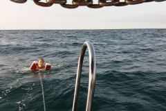 119716705_758442041400335_5044568350255395511_n